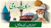 rumi-hamesha-jawan-rakhne-wala-phal-jpg.jpg